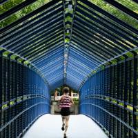 Individual running through little mac bridge